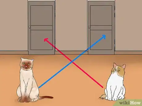 Image titled Prevent Fights Between Cats Step 12