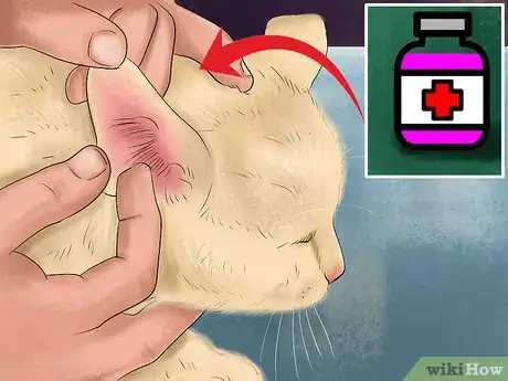 Image titled Apply Topical Medication to a Cat Step 5