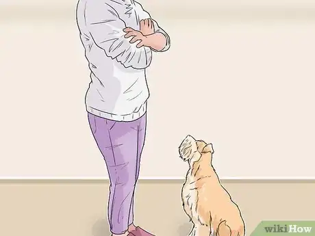 Image titled Involve a Dog in Pet Therapy Work Step 11
