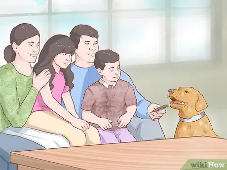 Image titled Foster Shelter Dogs Step 12