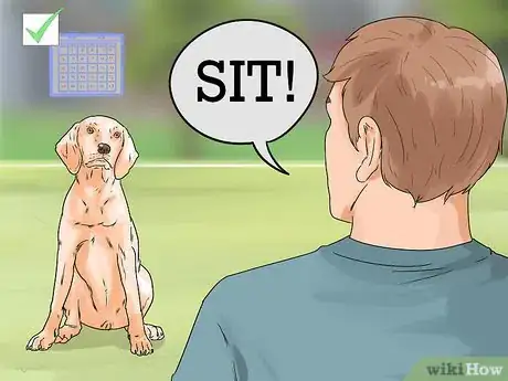 Image titled Get a Dog Ready for a Special Occasion Step 11