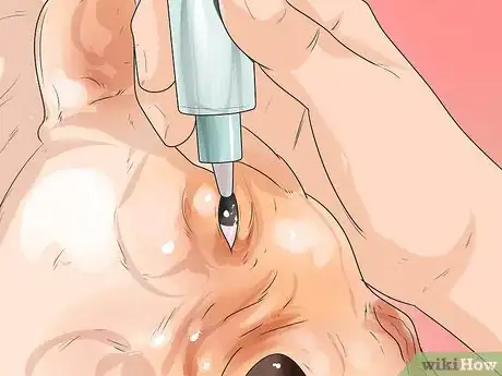 Image titled Treat Entropion in Boxers Step 4