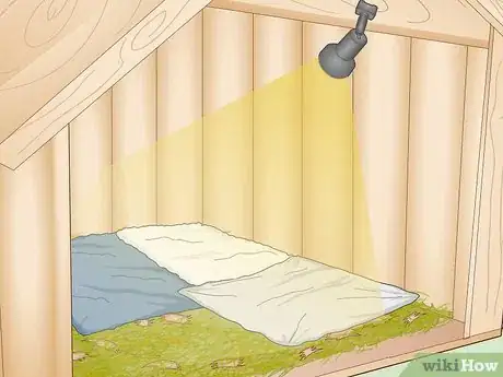 Image titled Care for an Outdoor Guinea Pig Step 20