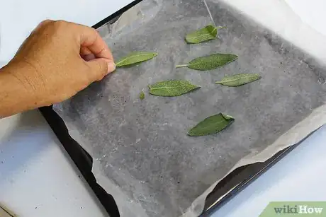 Image titled Dry Sage Step 20