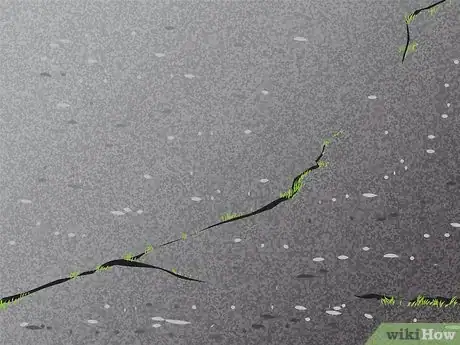 Image titled Fill Asphalt Cracks Step 1
