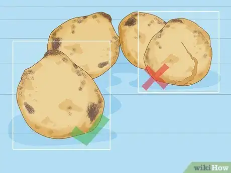 Image titled Plant English Bluebell Bulbs Step 3