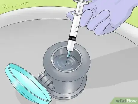 Image titled Control Zebra Mussels Step 17