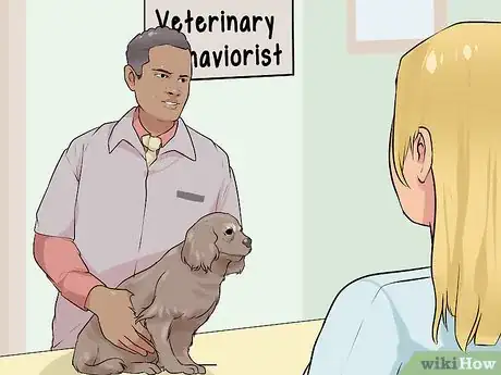 Image titled Rule Out Medical Causes of Bad Behavior in Aging Dogs Step 11