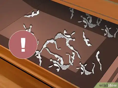 Image titled Get Rid of Rats Step 10