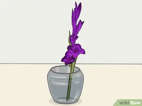 Image titled Cut Gladiolus Step 3