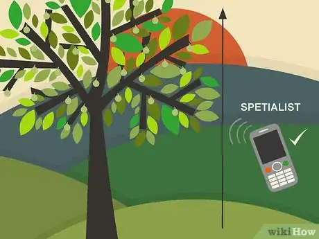 Image titled Prune Walnut Trees Step 14