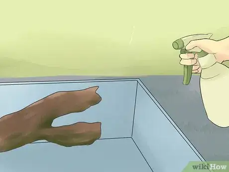 Image titled Feed an Anole Green Lizard Step 3