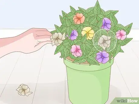 Image titled Grow New Guinea Impatiens Indoors Step 12