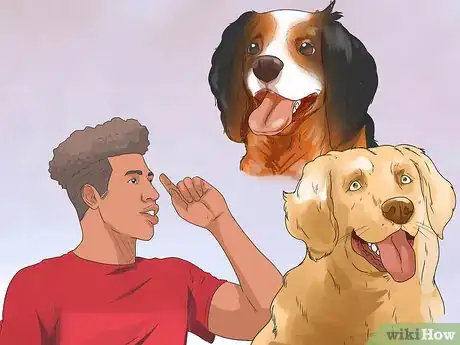 Image titled Treat Hypothyroidism in Golden Retrievers Step 11