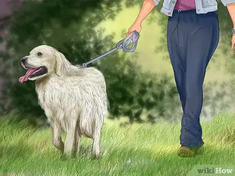 Image titled Housebreak a Dog Using a Crate Step 10