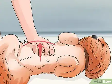 Image titled Detect and Prevent Bloating and Torsion in Dogs Step 4