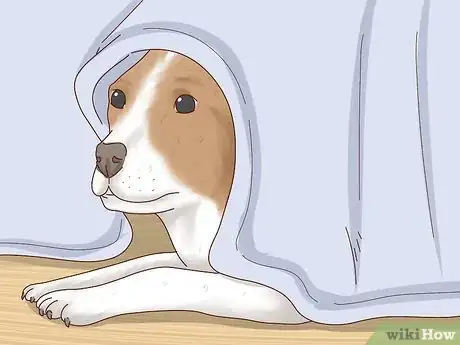 Image titled Recognize Signs of Anxiety in Dogs Step 14