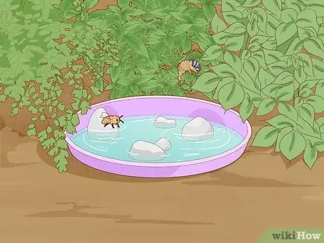 Image titled Save Bees from Extinction Step 6