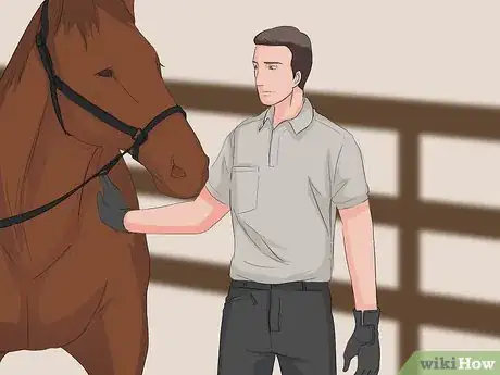 Image titled Dress for a Riding Lesson Step 9