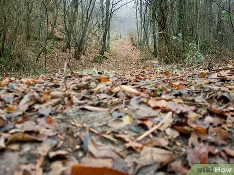 Image titled Find Creative Inspiration Step 7