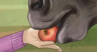 Make a Horse Move Forward