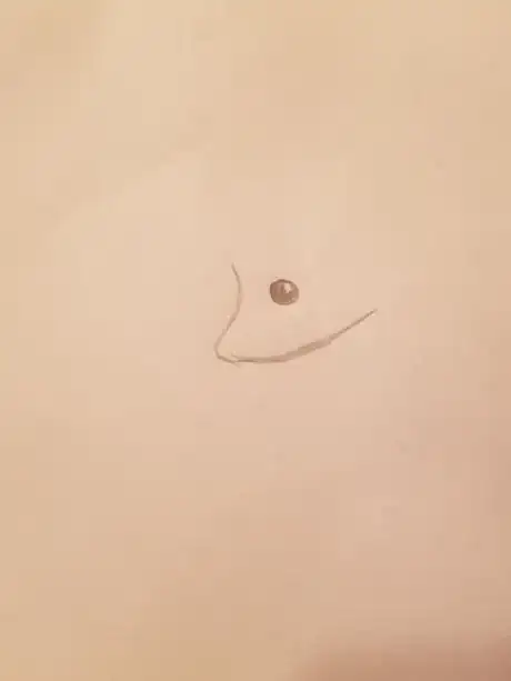 Image titled Raccoon2