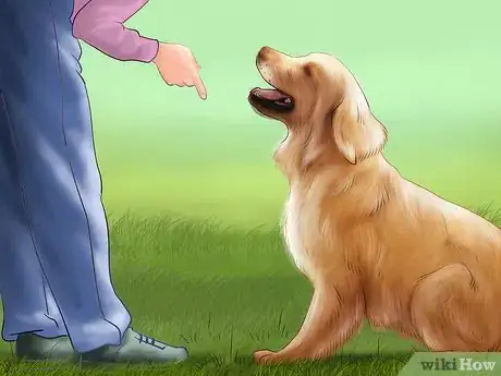 Image titled Help an Emotionally Disturbed Dog Step 5