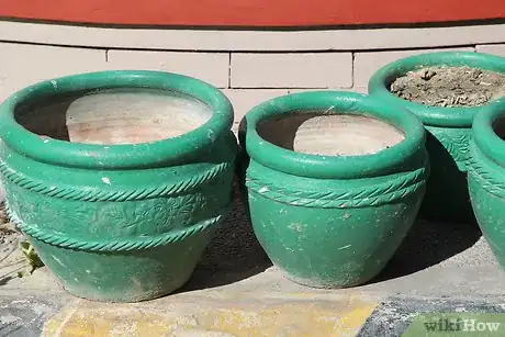 Image titled Care for Flowers Step 9