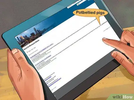 Image titled Have a Potbellied Pig for a Pet Step 1