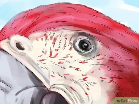 Image titled Stop a Greenwing Macaw from Biting Step 10