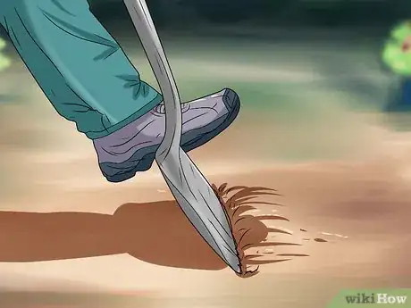 Image titled Plant Step 20