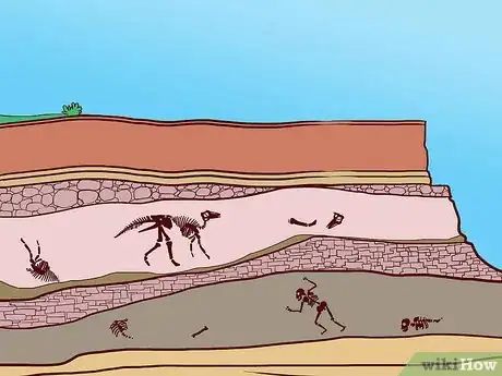 Image titled Date Fossils Step 5