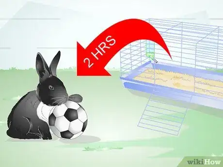 Image titled Keep Your Rabbit Slim Step 1