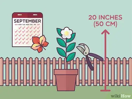 Image titled Grow Tea Step 13