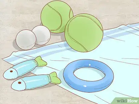 Image titled Photograph Cats Step 7