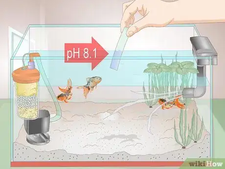 Image titled Cure Red Slime Algae in Marine Aquariums Step 12