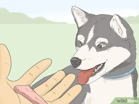 Image titled Train Seizure Alert Dogs Step 11