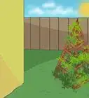 Build a Pyramid Trellis