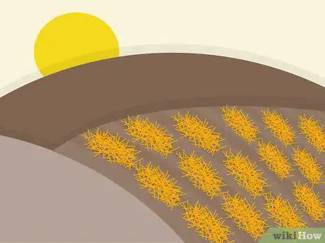 Image titled Plant Fescue Step 9