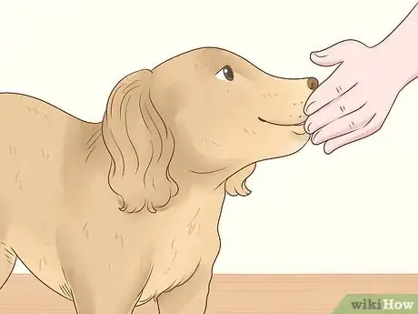 Image titled Help a Dog Overcome Its Fear of Children Step 8