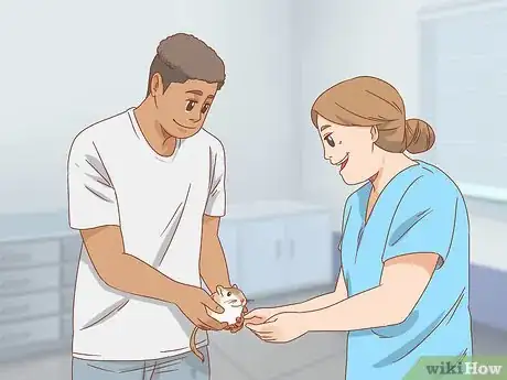 Image titled Treat Head Tilt in Gerbils Step 5