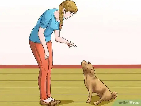 Image titled Care for Puggles Step 20