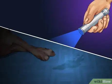 Image titled Get Dog Smell Out of the Carpet Step 4