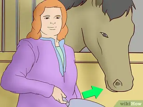 Image titled Feed a Horse a Mint Step 4