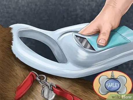 Image titled Approach an Unfamiliar Dog Step 7