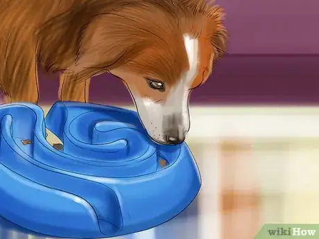 Image titled Relieve Your Dog's Boredom Step 2