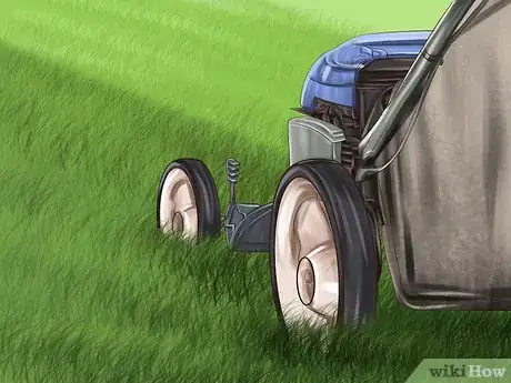 Image titled Build a Chicken Friendly Garden Step 9