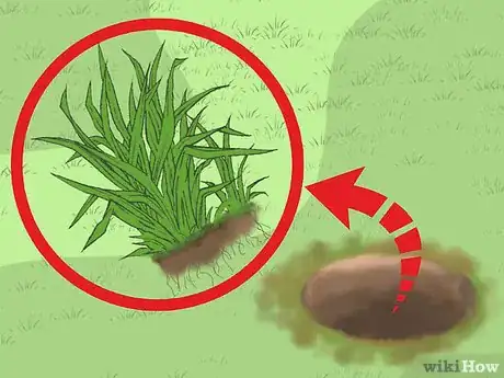 Image titled Replace Your Lawn with Groundcovers Step 5