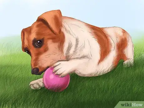 Image titled Select Safe Dog Toys Step 7