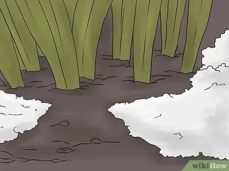 Image titled Keep Narcissus Bulbs After Flowering Step 3